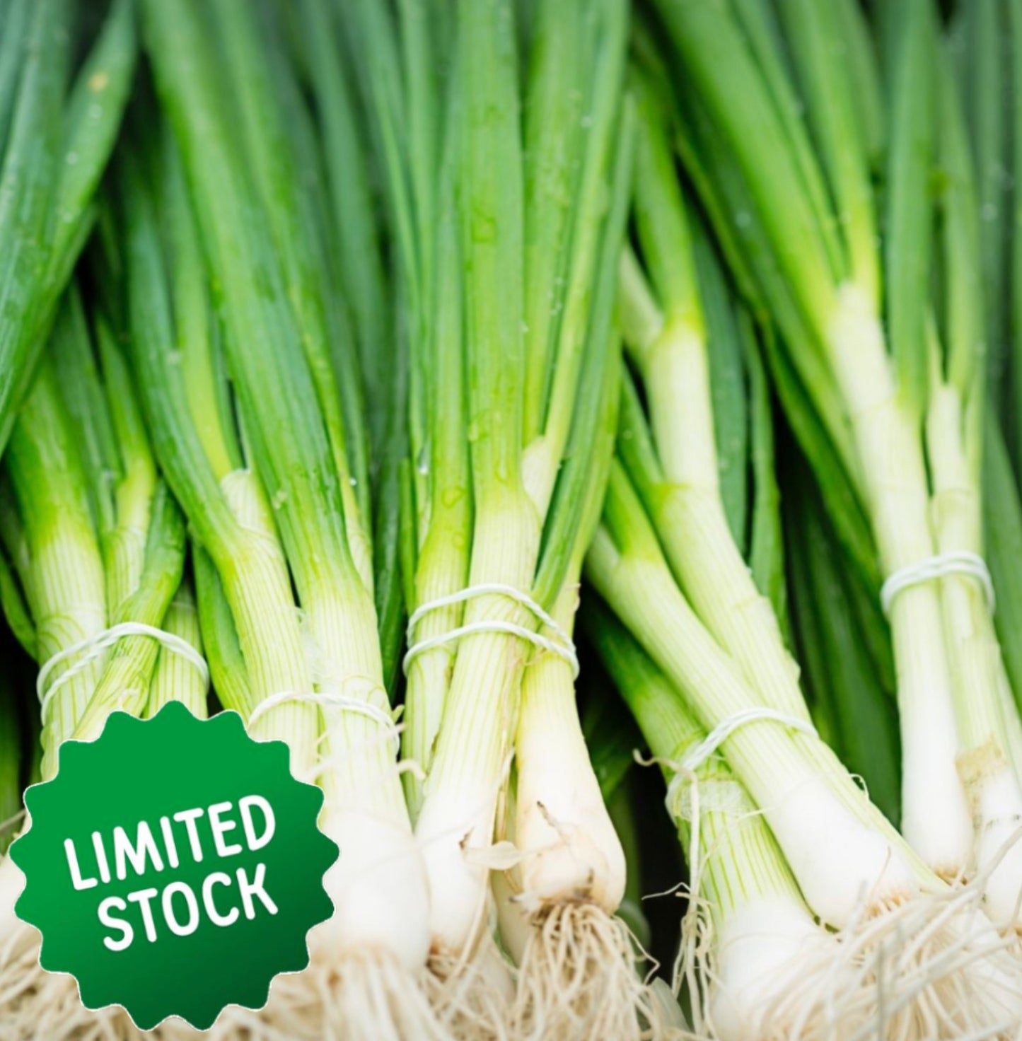 Spring Onions (bunch) - Green Connect Farm