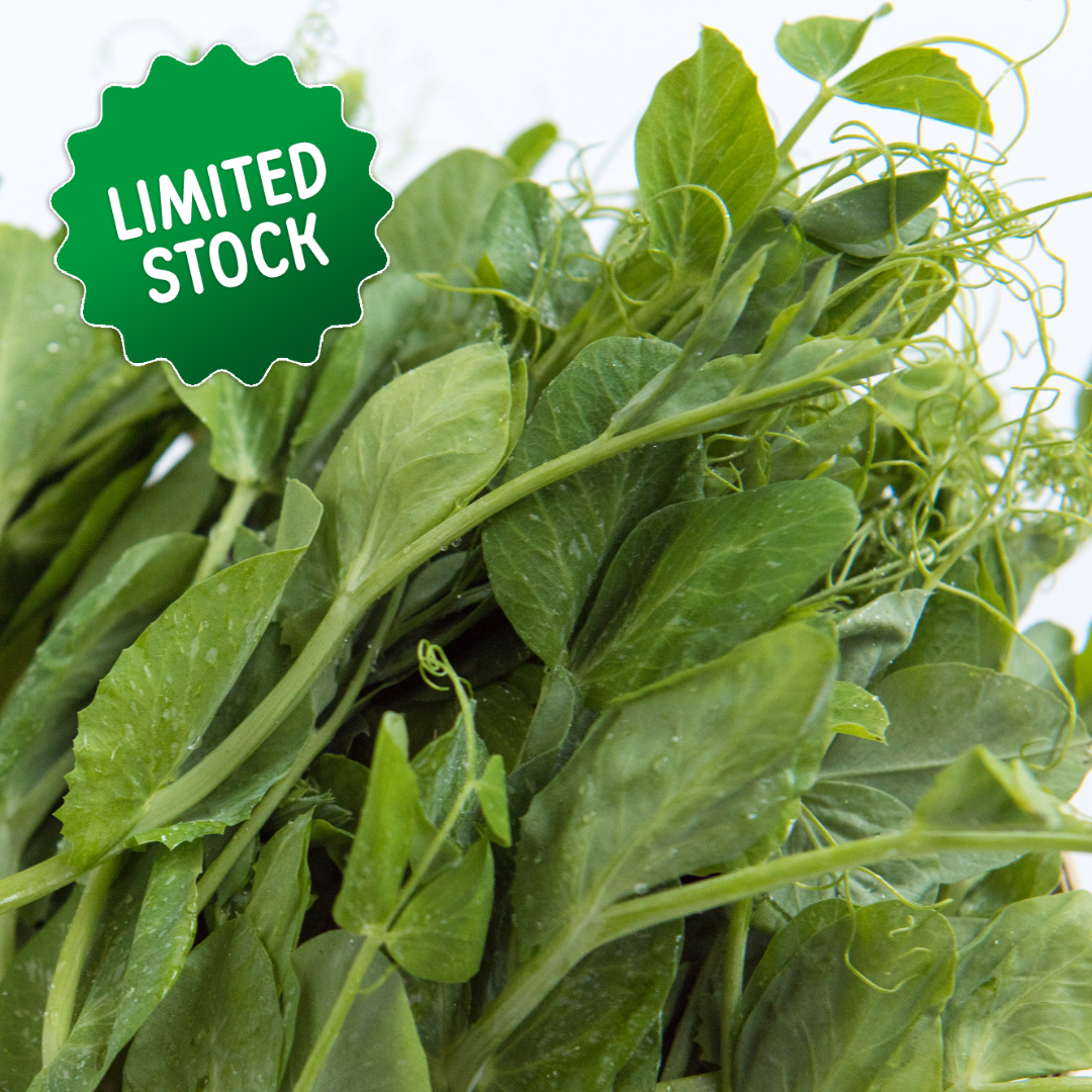 Pea Shoots (bunch) - Green Connect Farm