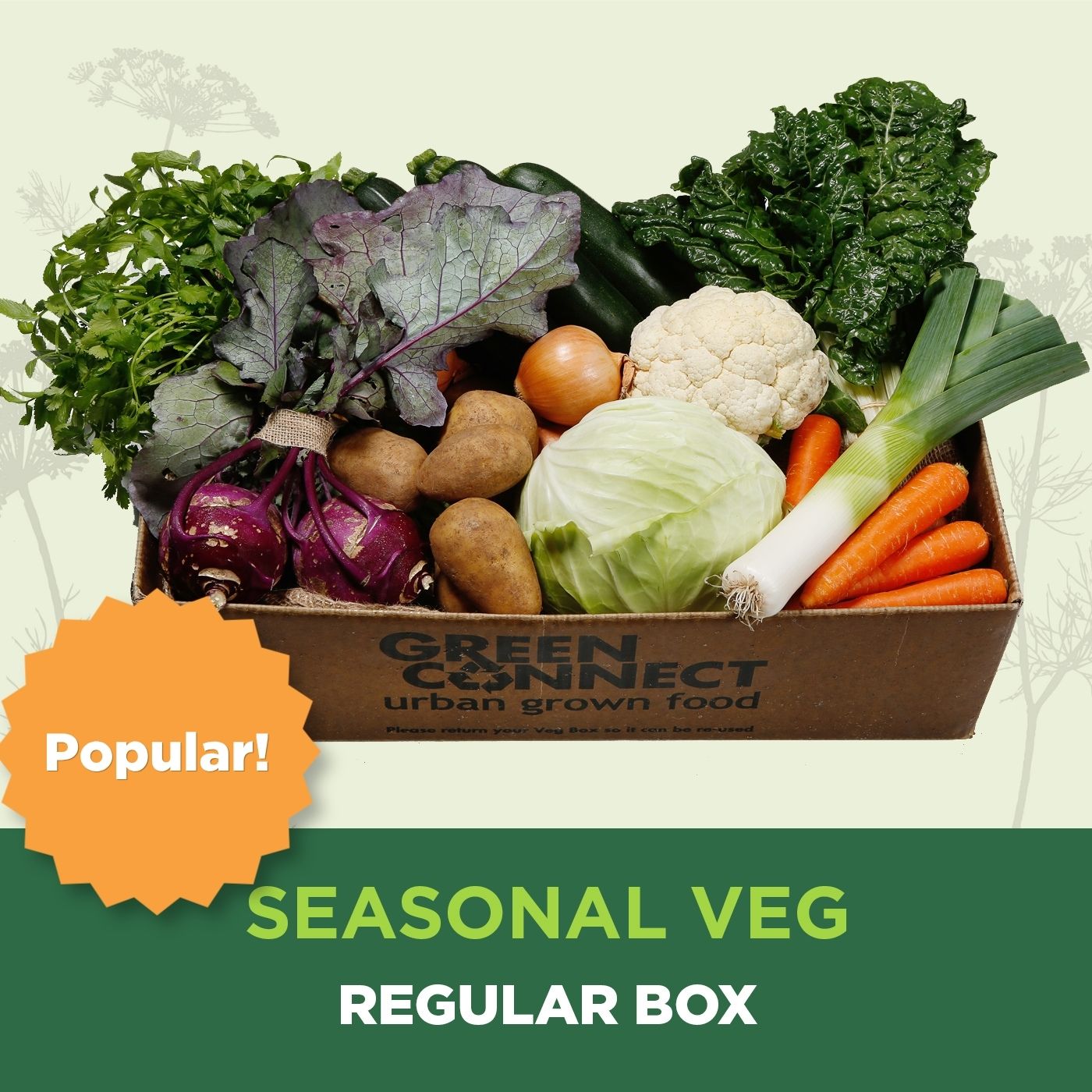 Regular Veg Box - Subscription