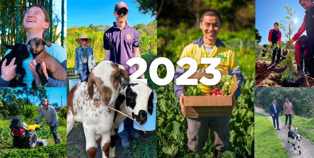 What a Year! 2023 Reflections