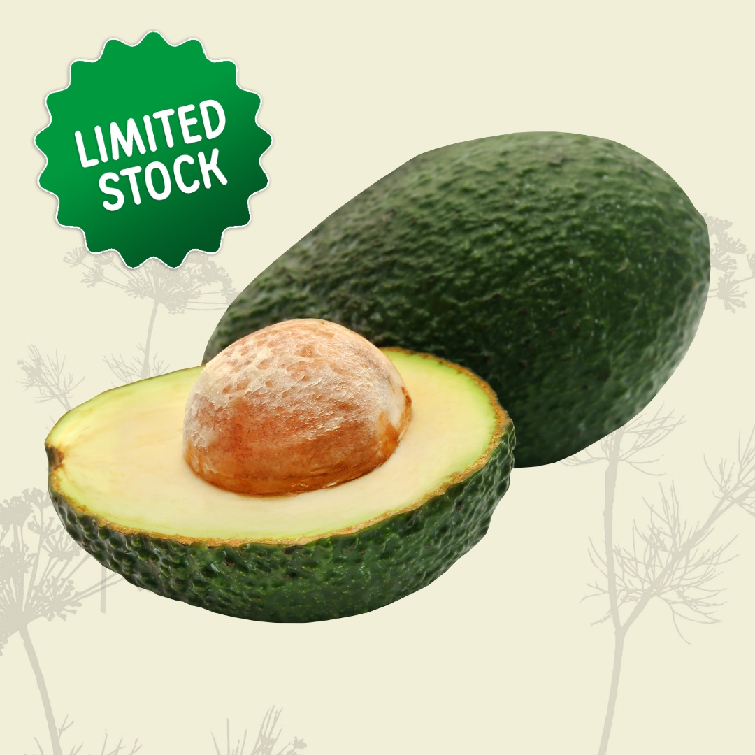 Avocado (1-2) - Certified Organic