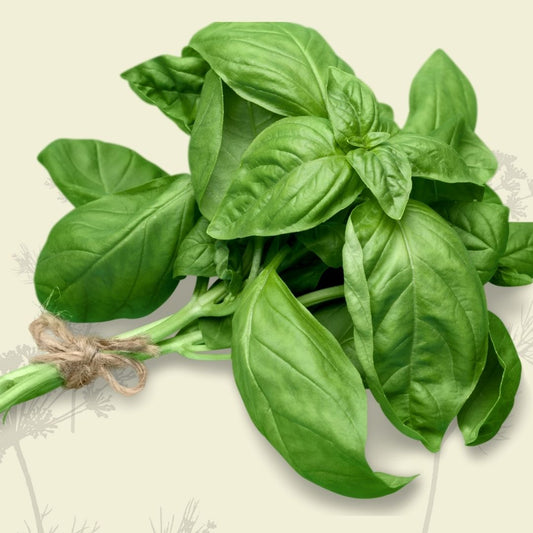 Basil (bunch) - Green Connect Farm