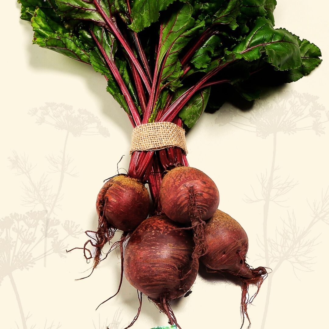 Beetroot (bunch) - Green Connect Farm