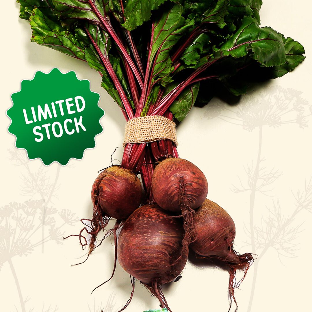Beetroot (bunch) - Green Connect Farm