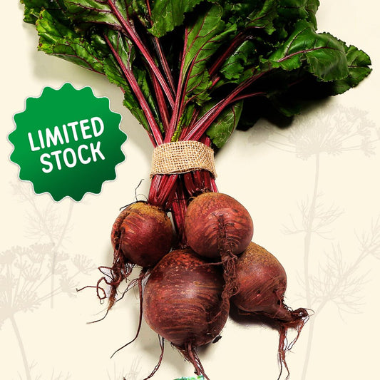 Beetroot (bunch) - Green Connect Farm