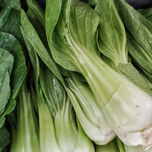 Bok Choy (2-3) - Green Connect Farm