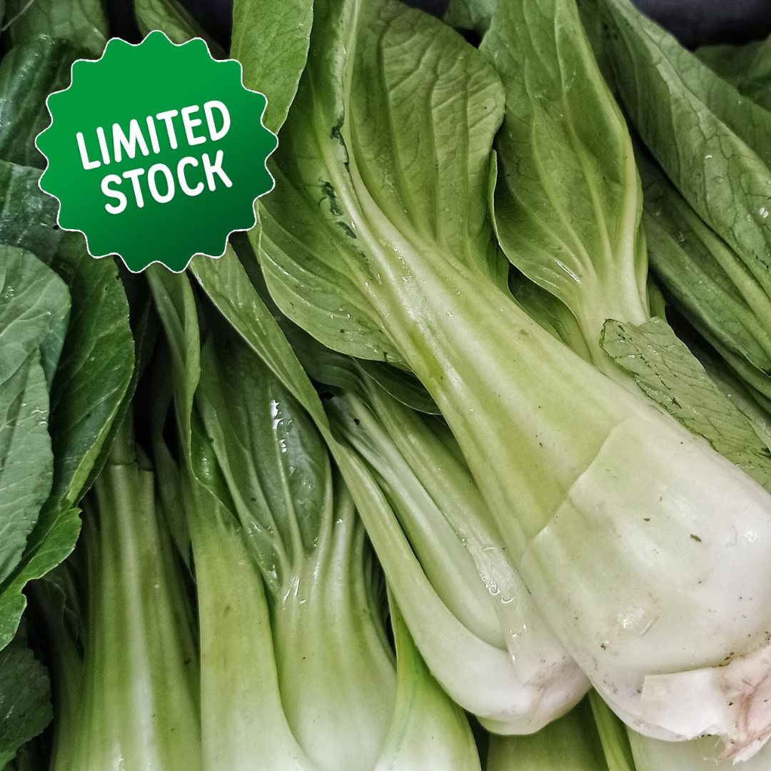 Bok Choy (2-3) - Green Connect Farm