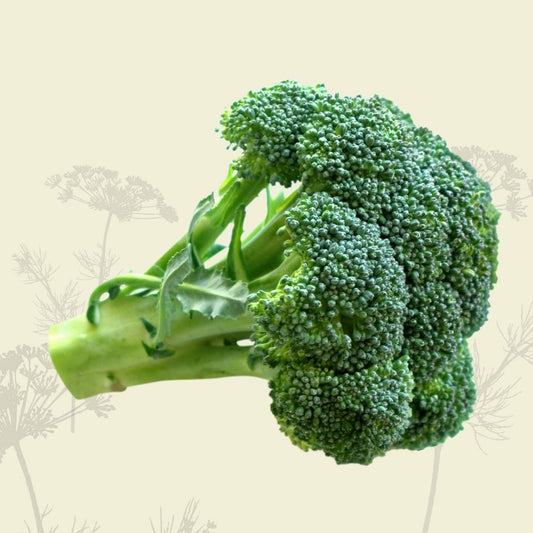 Broccoli (head) - Certified Organic