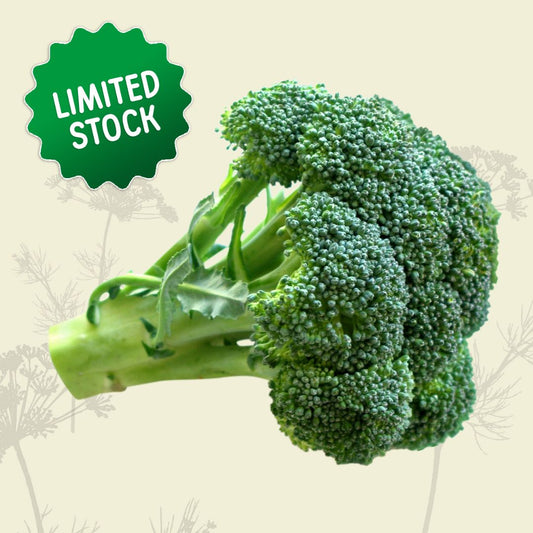 Broccoli (head) - Green Connect Farm