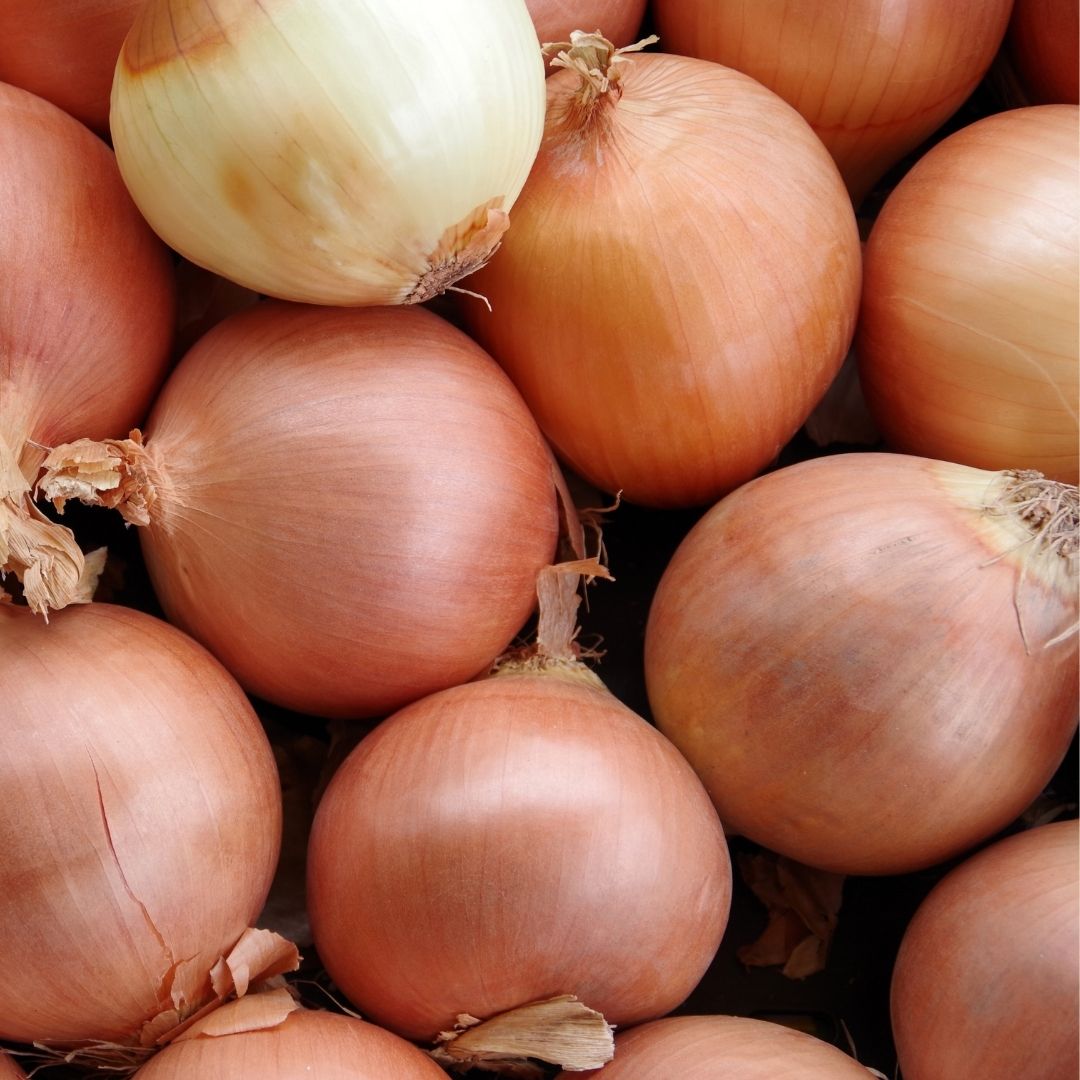 Onions: Brown (500g) - Certified Organic