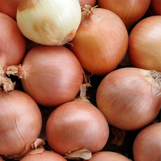 Onions: Brown (500g) - Certified Organic