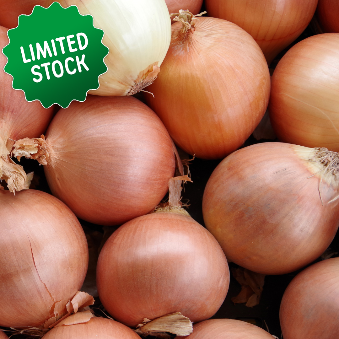 Onions: Brown (500g) - Certified Organic
