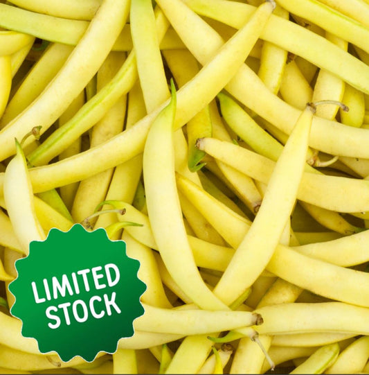 Butter Beans (300g) - Green Connect Farm