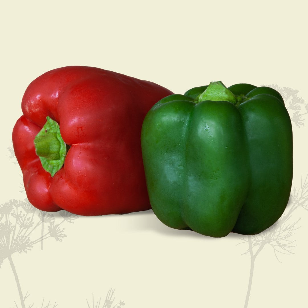 Capsicum: Green or Red (1-2) - Certified Organic