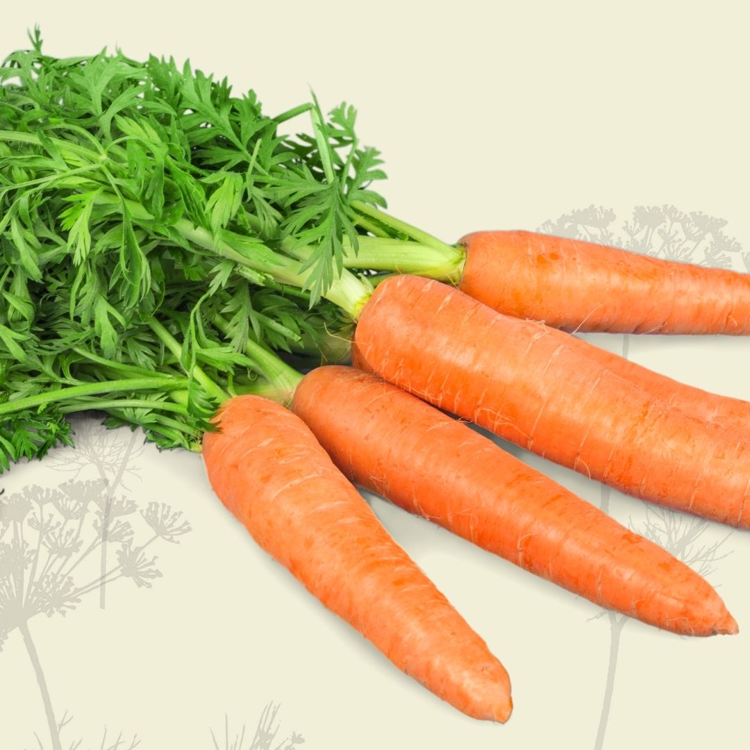 Carrots (bunch) - Green Connect Farm