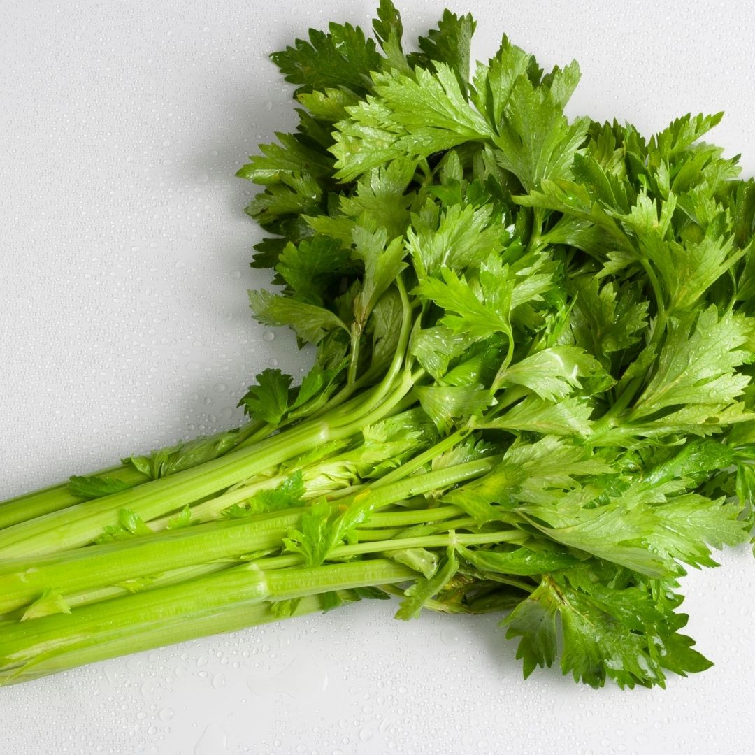 Celery (bunch) - Certified Organic