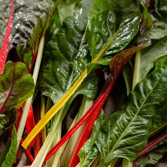 Silverbeet/Rainbow Chard (bunch) - Green Connect Farm