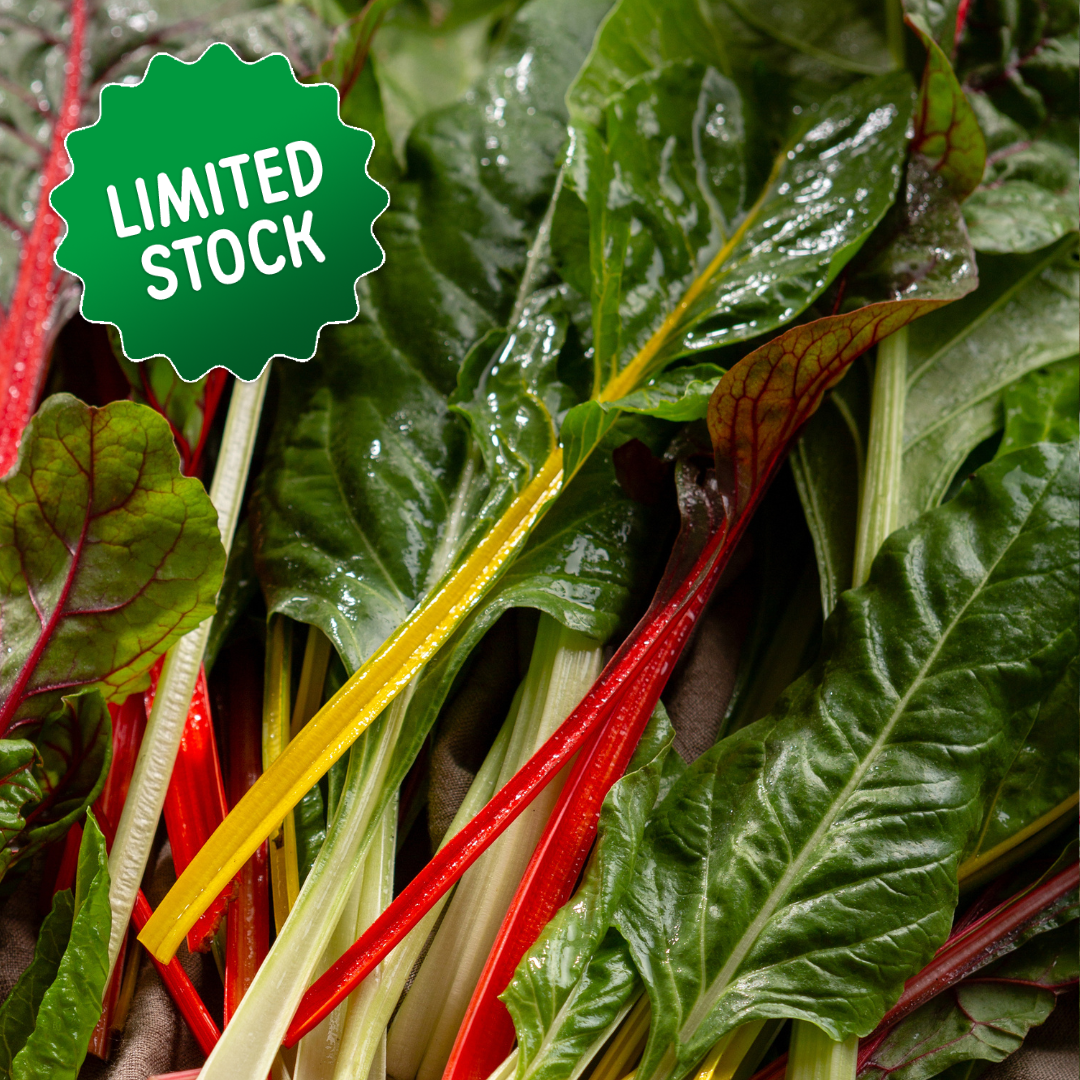 Silverbeet/Rainbow Chard (bunch) - Green Connect Farm