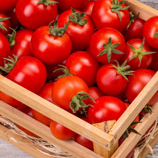 Tomatoes: Cherry (250g) - Certified Organic