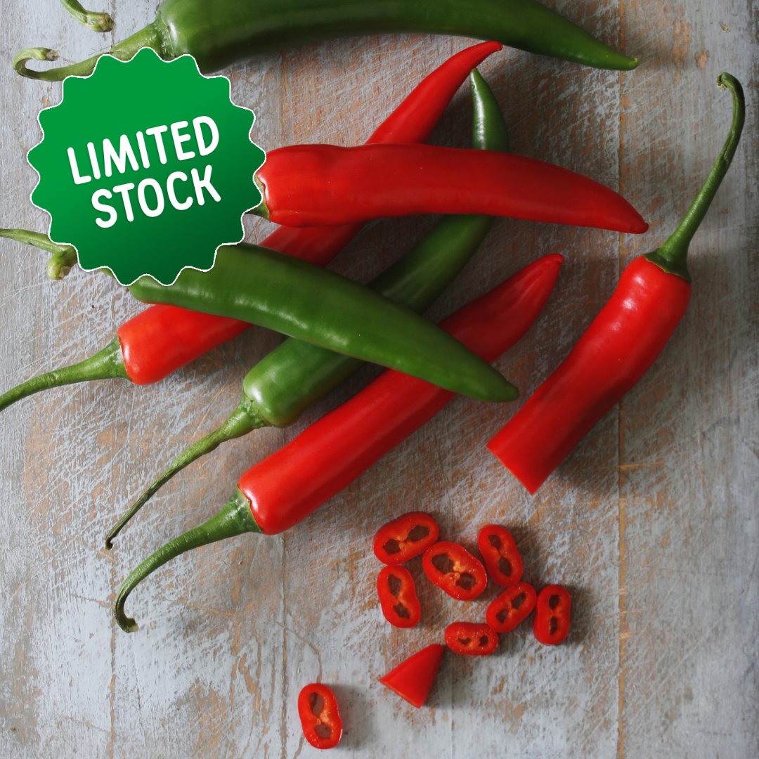 Dagger Chillies - Green Connect Farm