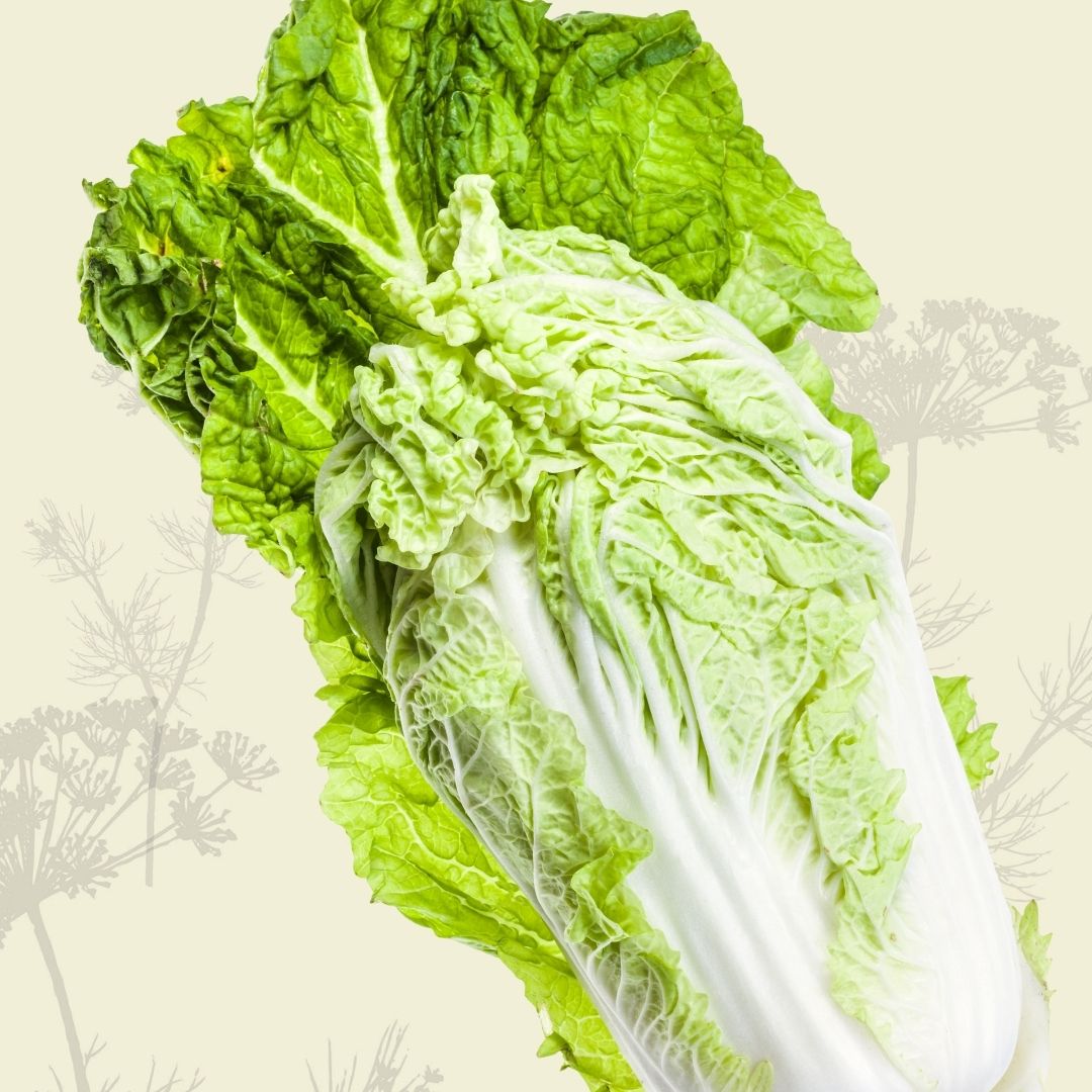 Cabbage: Chinese (half head) - Certified Organic