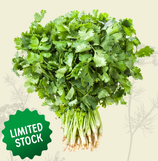 Coriander (bunch) - Green Connect Farm