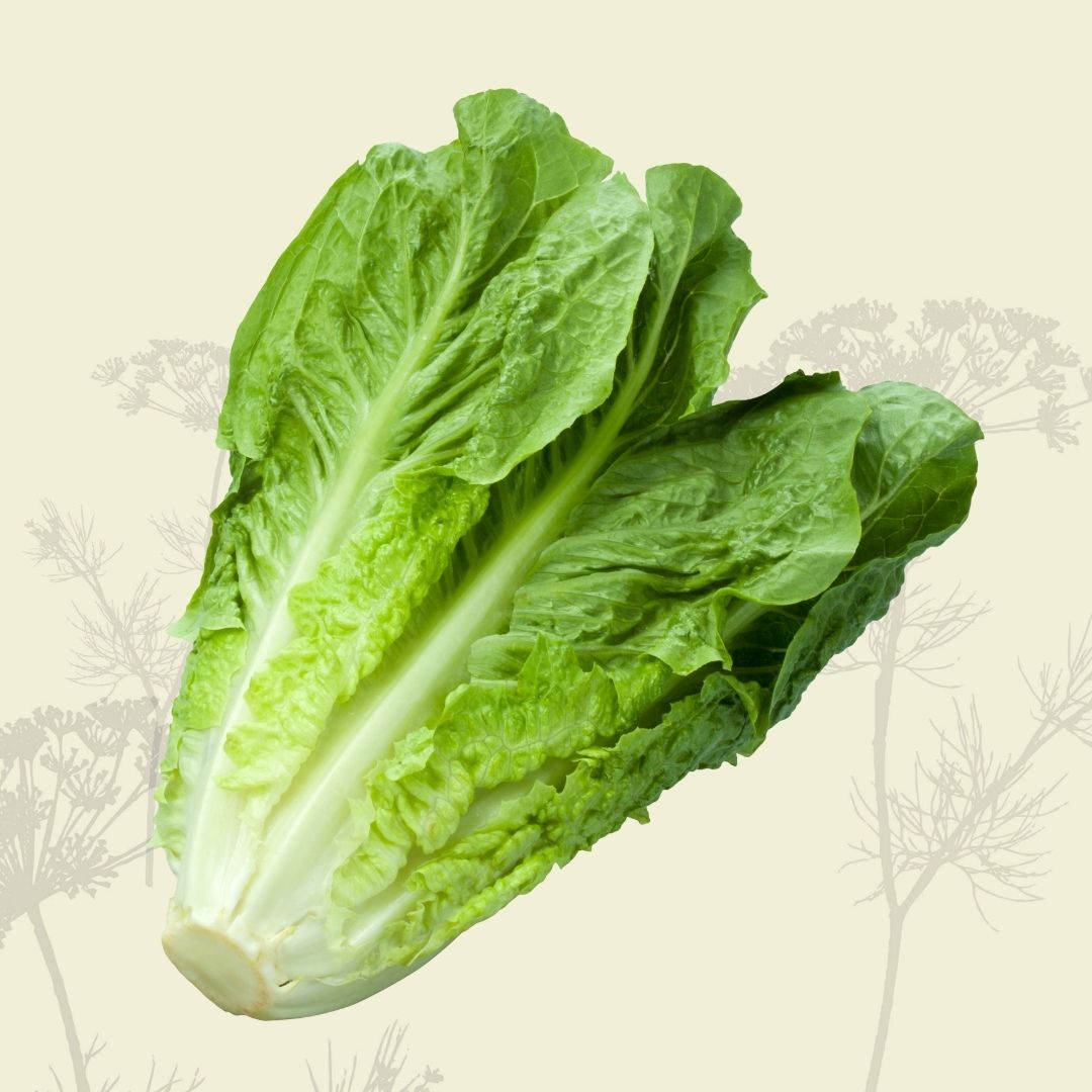 Lettuce: Cos - Certified Organic