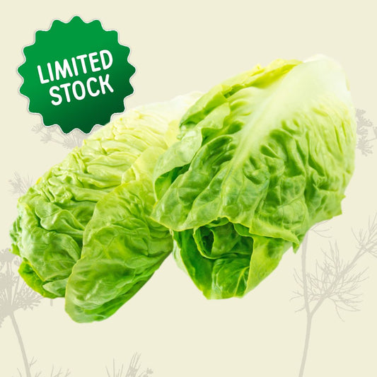 Lettuce: Baby Cos (bunch) - Green Connect Farm