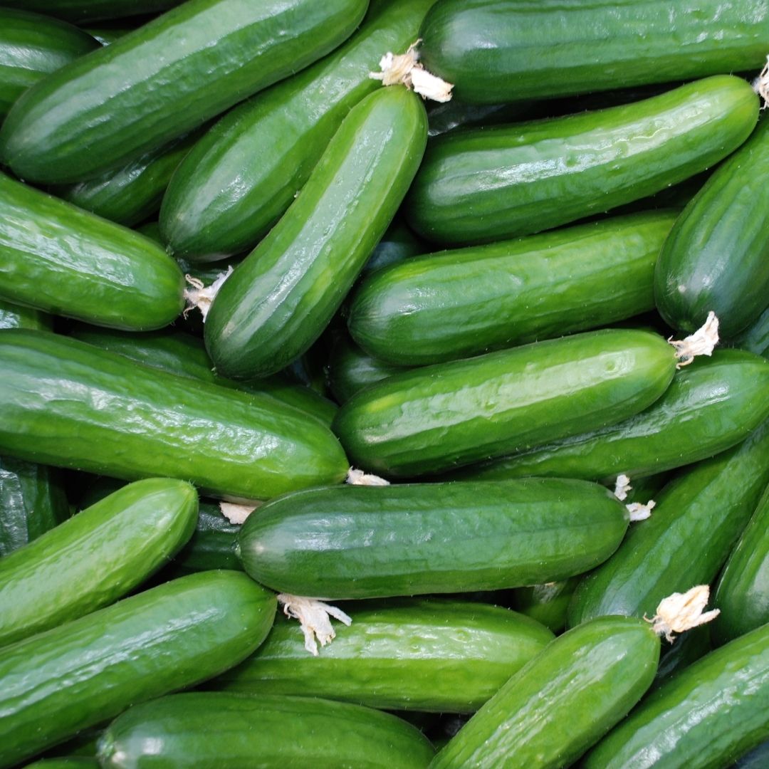 Cucumbers (1-2) - Certified Organic