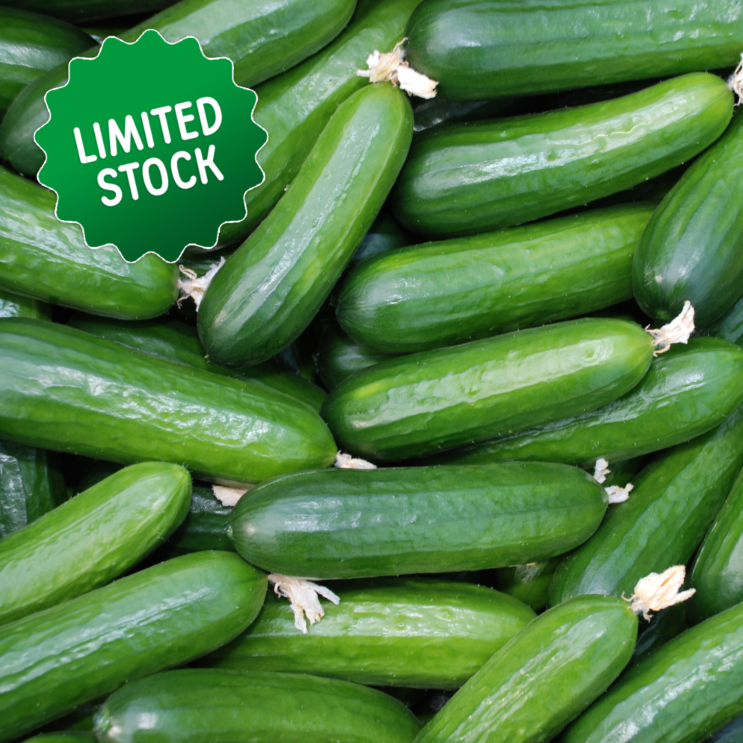 Cucumbers (1-2) - Green Connect Farm