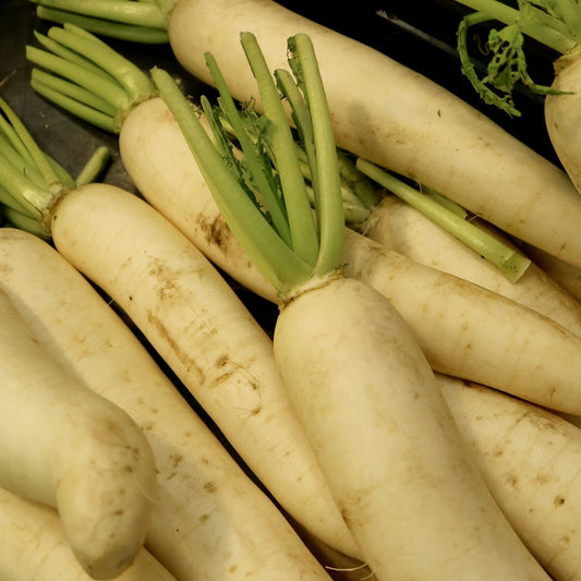 Daikon Radish (350g) - Certified Organic