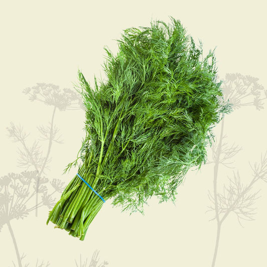 Dill (bunch) - Green Connect Farm