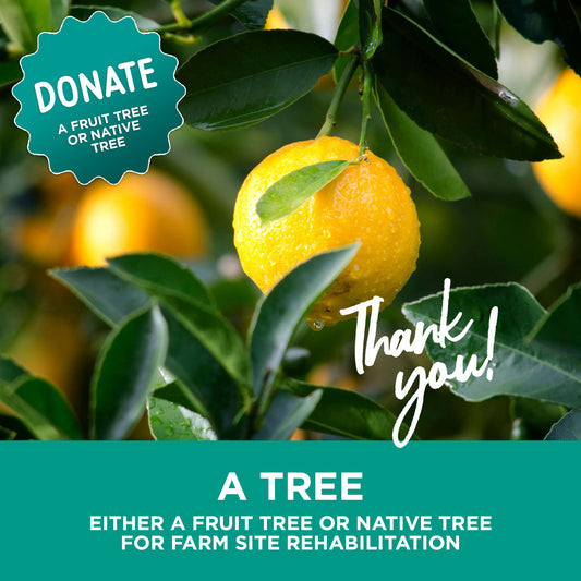 Donate a Tree