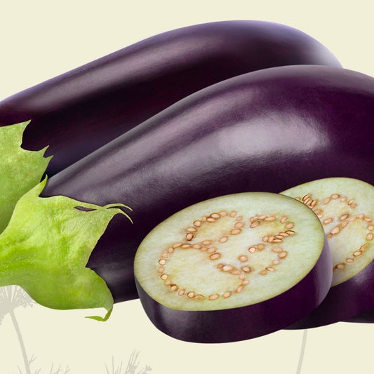 Eggplant (1-2) - Green Connect Farm