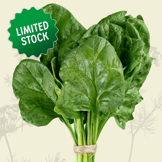 English Spinach - Green Connect Farm