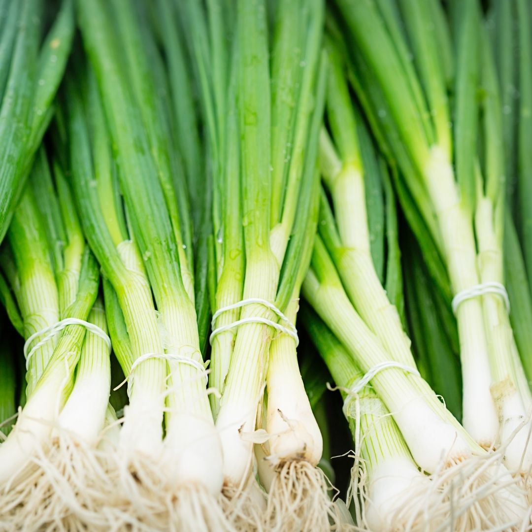 Spring Onions (bunch) - Green Connect Farm