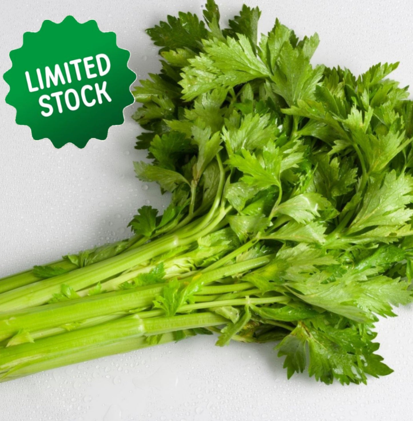 Celery (bunch) - Green Connect Farm