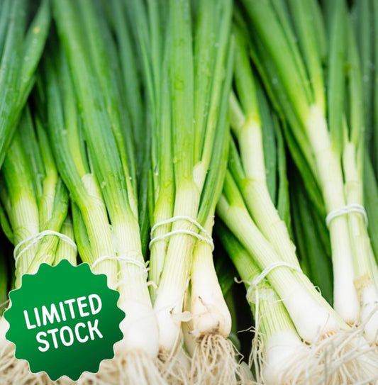 Spring Onions (bunch) - Green Connect Farm