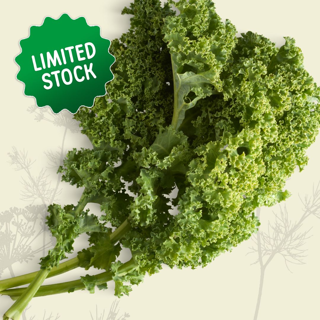Kale: Curly Leaf (bunch) - Green Connect Farm