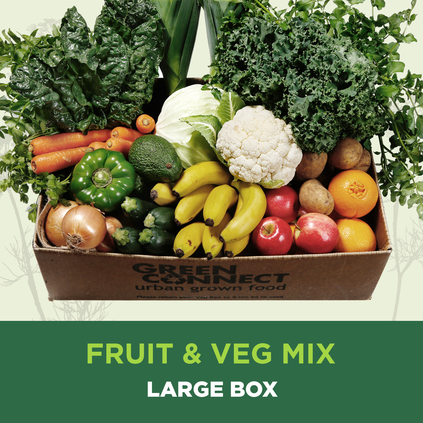 Large Mixed Box - Trial