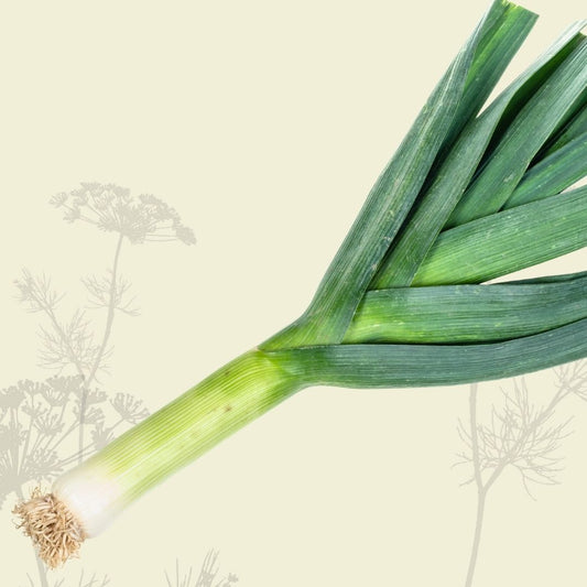 Leek (1-2) - Green Connect Farm