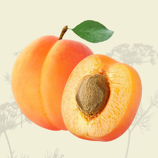 Apricot (2-3) - Certified Organic