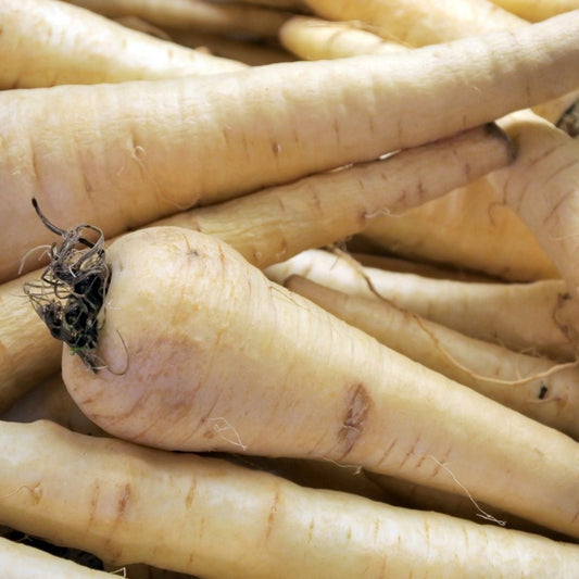 Parsnips (300g) - Certified Organic