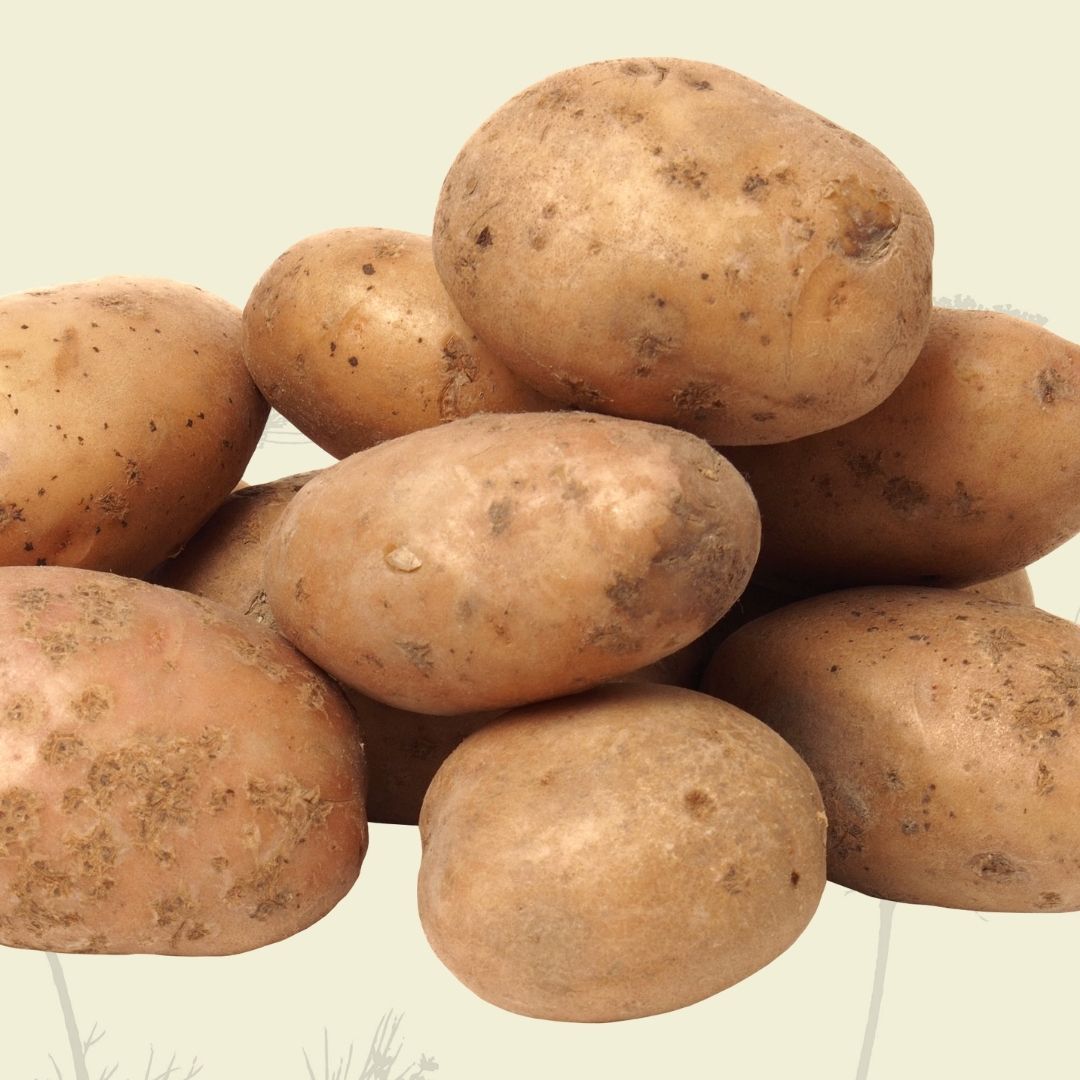 Potatoes: Dutch Cream (500g) - Certified Organic