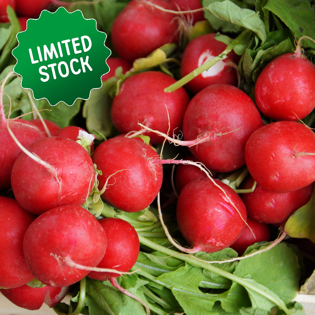 Radish (bunch) - Green Connect Farm
