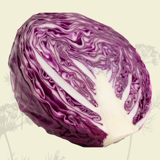 Cabbage: Red (half head) - Green Connect Farm