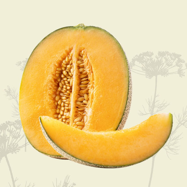 European Rockmelon Rockmelon - Certified Organic – Green Connect