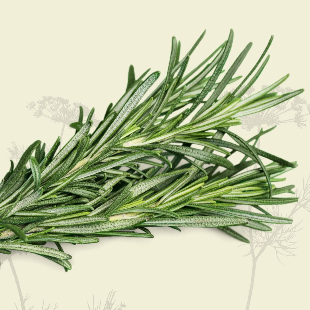 Rosemary (bunch) - Green Connect Farm