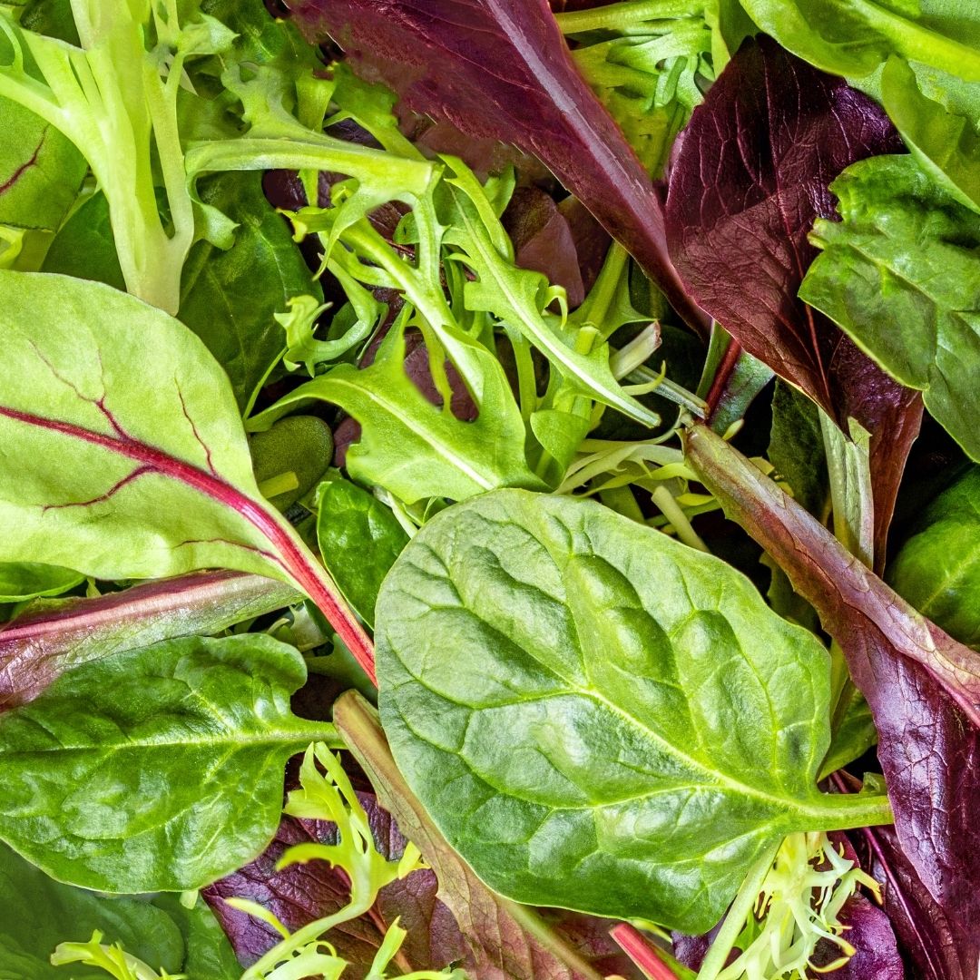 Salad Mix (bag) - Green Connect Farm