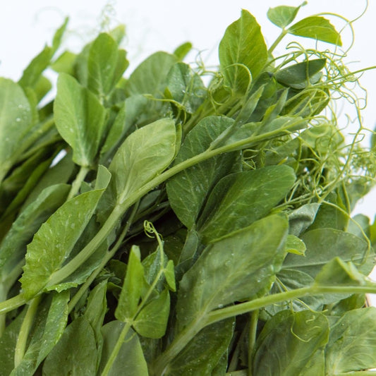 Pea Shoots (bunch) - Green Connect Farm